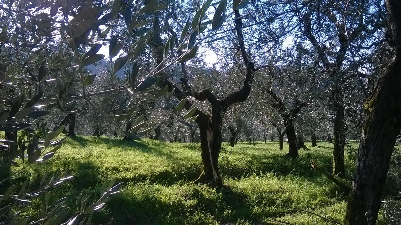 Villa Pacinotti Пистоя Екстериор снимка