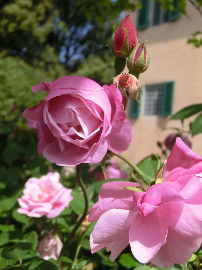 Villa Pacinotti Пистоя Екстериор снимка